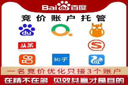 SEM推广技巧：成功案例深度剖析